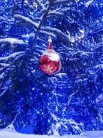 abeto azul nevado con una guirnalda de luces y una bola roja en forma de santa claus foto