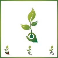 cuidado del icono de la línea de la planta. mano, tenencia, árbol joven, hoja. concepto de jardinería. La ilustración vectorial se puede utilizar para temas como crecimiento, plantación, ecología. vector