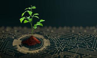 Growing tree with soil on the converging point of computer circuit board photo