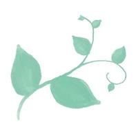 vector green branch in Watercolor style. design element Green Plants