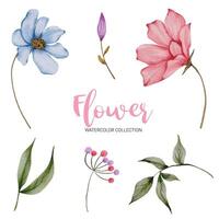 muchos tipos de hermosas flores en estilo acuarela vector