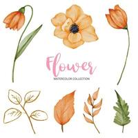 muchos tipos de hermosas flores en estilo acuarela vector