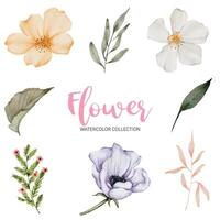 muchos tipos de hermosas flores en estilo acuarela vector