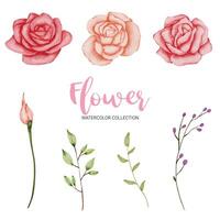 muchos tipos de hermosas flores en estilo acuarela vector