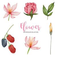 Many kinds of beautiful flowers in water color style vector