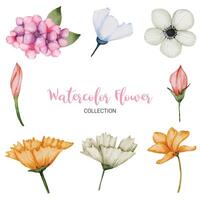 muchos tipos de hermosas flores en estilo acuarela vector