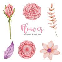 muchos tipos de hermosas flores en estilo acuarela vector