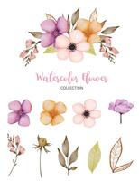 conjunto de hermosa flor en estilo de color de agua vector