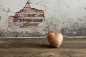Heart shaped red potato on vintage background.The concept of farming, harvesting, vegetarianism. Valentine's Day. square, ugly food. photo