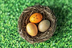Easter eggs in a natural nest on a green background with grass texture. View from above