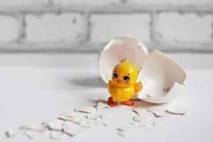 White egg shell of a broken chicken egg with fragments and a hatched chicken isolated. Easter photo