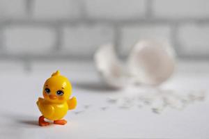 White egg shell of a broken chicken egg with fragments and a hatched chicken isolated. Easter photo