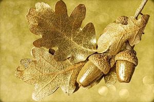Oak twig with leaves and acorns of gold color on a background with bokeh photo