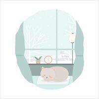 vector of final winter with cat lying in the house