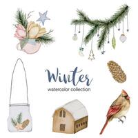 Winter watercolor collection featuring a bouquet of flowers, twigs, dried pine cones, houses and birds. vector