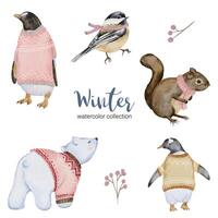 winter watercolor collection with penguin, squirrel, white bear and bird vector