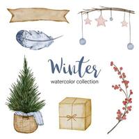 Winter watercolor collection with branches, leaves and flowers vector