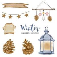 colección de acuarela de invierno con ramas, hojas y flores vector