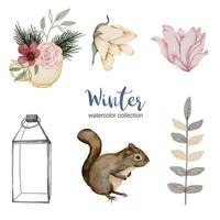 Winter watercolor collection with branches, leaves and flowers vector