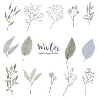 winter watercolor collection with various types of leaves vector