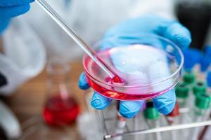 Scientist holding Petri dish in laboratory. photo