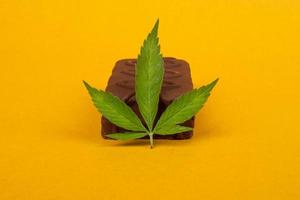 chocolate candies and a leaf of marijuana on yellow beauty background. sweet candies with the addition of hash oil