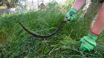 process mow the grass with a sickle photo