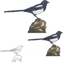 arte vectorial de aves vector