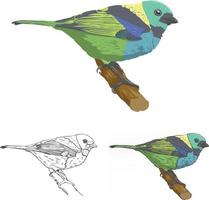 Bird Vector Art