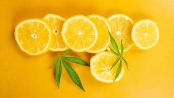 lemon slice and marijuana leaves on yellow background, citrus flavored cannabis photo