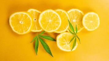 lemon slice and marijuana leaves on yellow background, citrus flavored cannabis photo