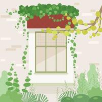 Window in the garden. There is ivy on the window. vector