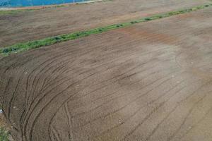 Field background, top view landscape, nature photo