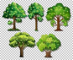 conjunto de diferentes árboles. vector