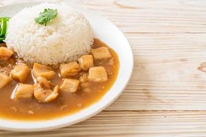 Chicken in brown sauce or gravy sauce with rice photo