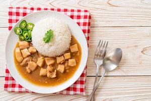 Chicken in brown sauce or gravy sauce with rice photo