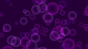 Violet Bubble Motion on Purple Background