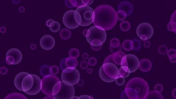 Violet Bubble Motion on Purple Background video