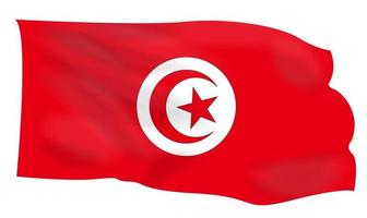 Bundle of Tunisian national flag vector image