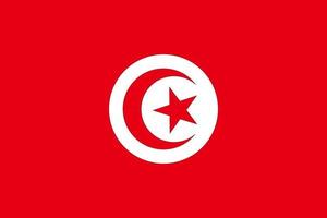 Bundle of Tunisian national flag vector image