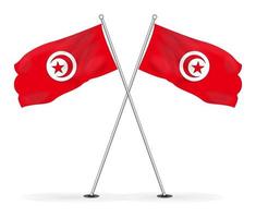 Bundle of Tunisian national flag vector image