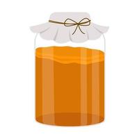 Kombucha tea in glass jar. Homemade fermented probiotic non-alcohol beverage vector