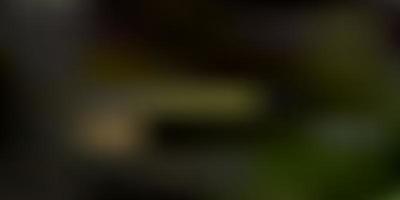 Dark green, yellow vector blurred texture.