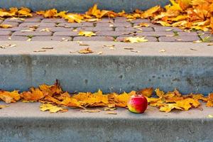caída de las hojas de otoño. Hojas amarillas y manzana solitaria en los escalones de piedra concepto de otoño - imagen foto