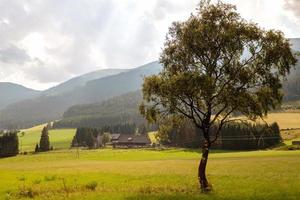 un pequeño pueblo típico austriaco al pie de las montañas alpinas. foto