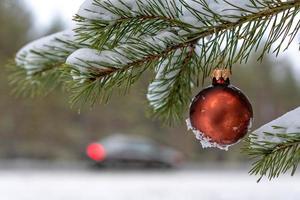 Bola de Navidad roja en la rama de abeto cubierto de nieve junto a la carretera. foto