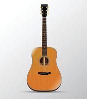 Acoustic Guitar Cedar Dreadnought Isolated vector