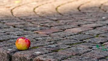 Red apple on the foothpath photo