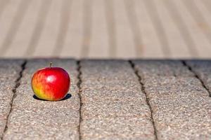 Red apple on the foothpath photo