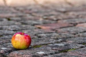 Red apple on the foothpath photo